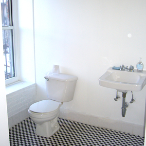 2nd bathroom  with shower in loft apartment park slope brooklyn 11215 for rent