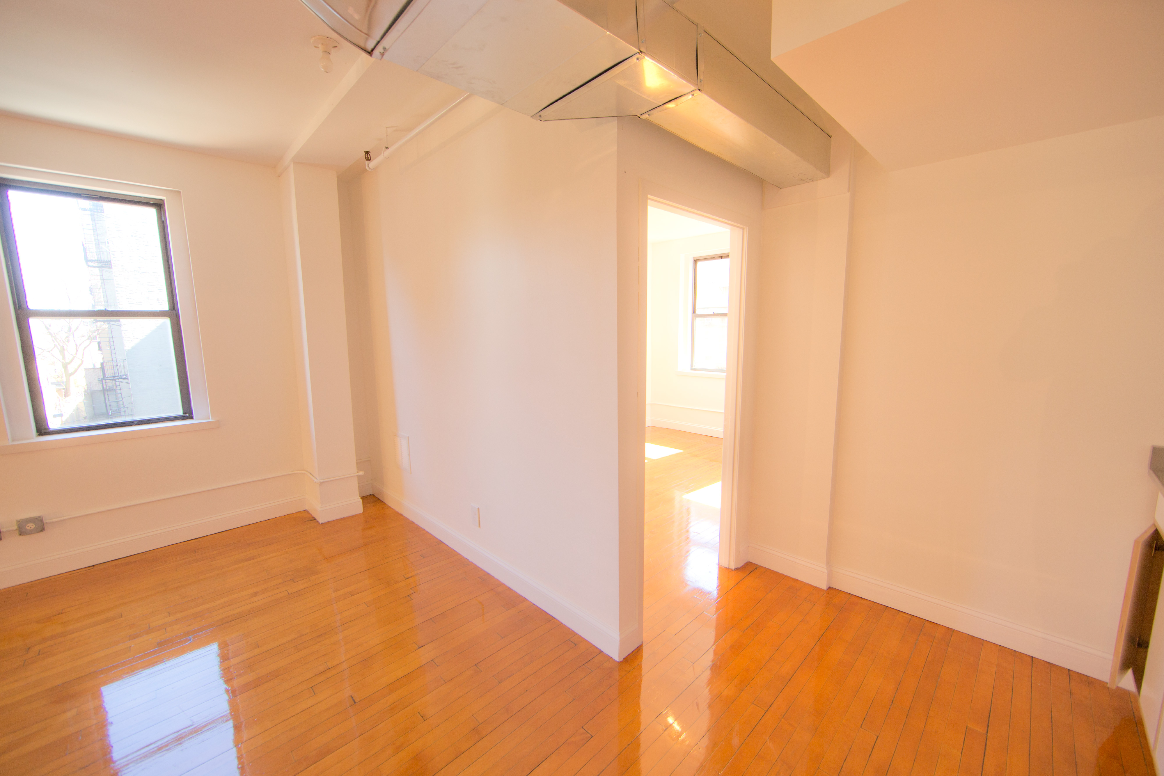 sunlight apartment for rent williamsburg brooklyn